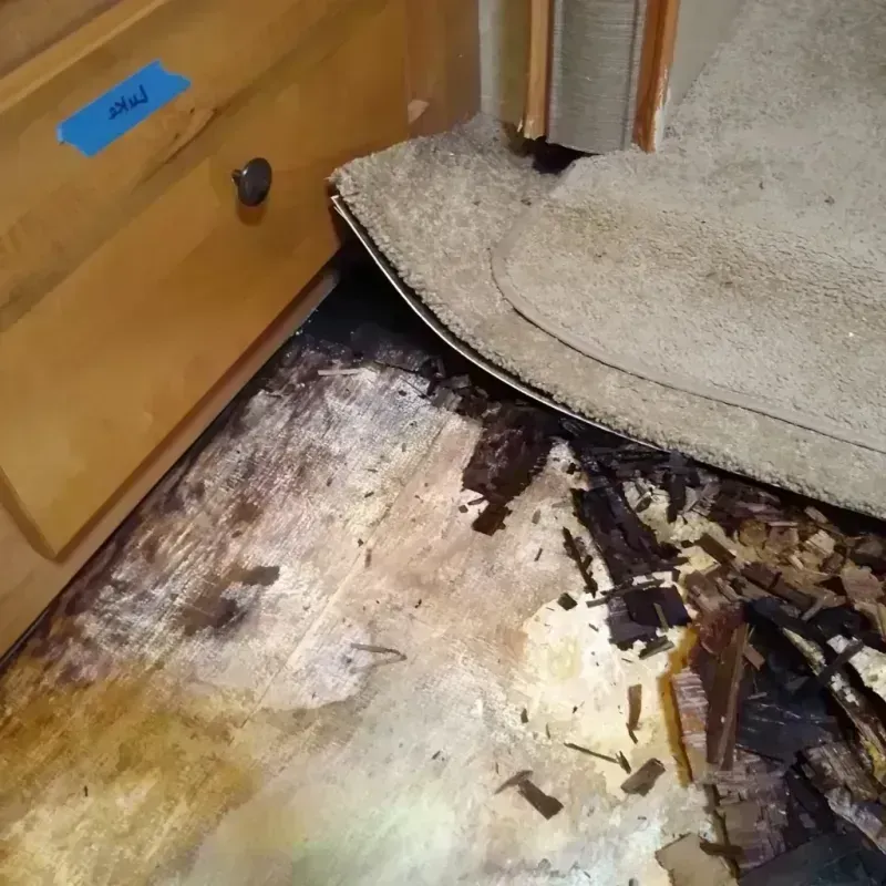 Wood Floor Water Damage in Euclid, OH